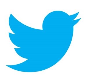 \"twitter-logo\"